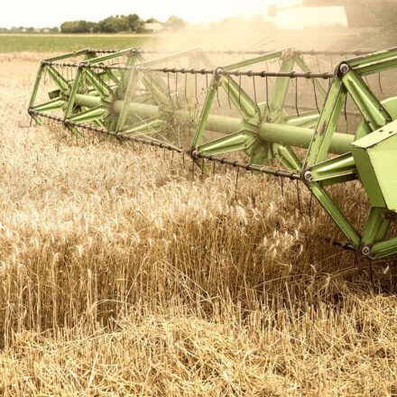 Agricultural General Cargo Inspection and Testing