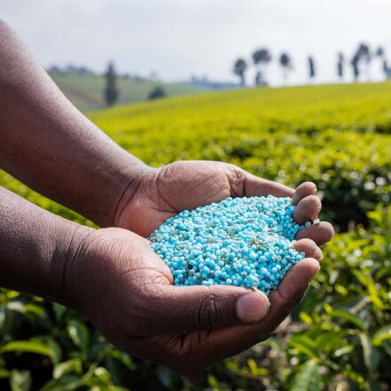 Fertilizer Inspection & Testing