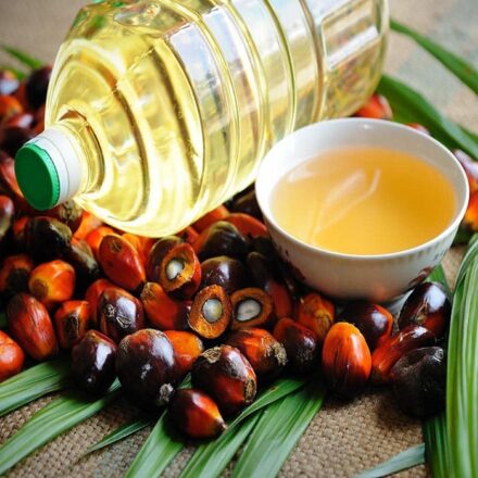 Vegetable and Palm Oils Inspection & Testing