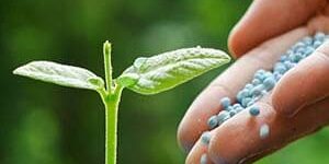 Agricultural & Food Cargo Testing